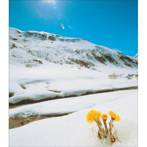 骚娘们扣屄自慰
